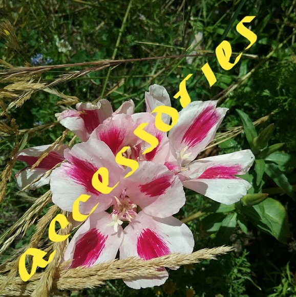 All kinds of accessories - Picture 1 of 1